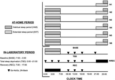 Limited Benefit of Sleep Extension on Cognitive Deficits During Total Sleep Deprivation: Illustration With Two Executive Processes